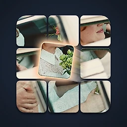 Zen Jigsaw Gallery Pro